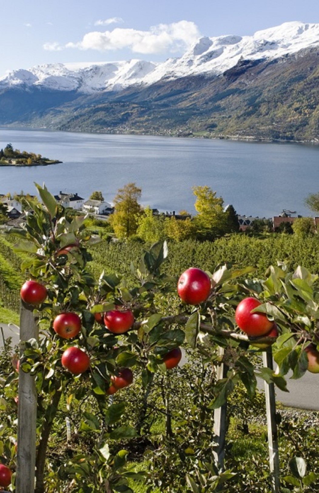 Norwegian Fjords & Culture